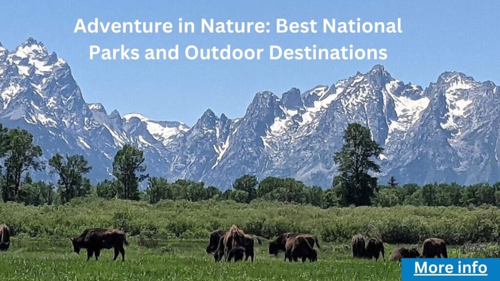 Adventure in Nature: Best National Parks and Outdoor Destinations