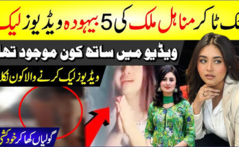Minahil Malik Leaked Video: The TikTok Leak Explained